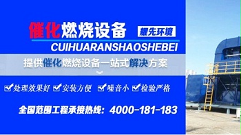 耀先催化燃烧设备倍受欢迎，15年经验厂家值得信赖